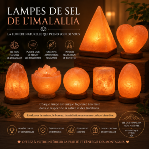 Lampe en Cristal de Sel de l'Himalaya